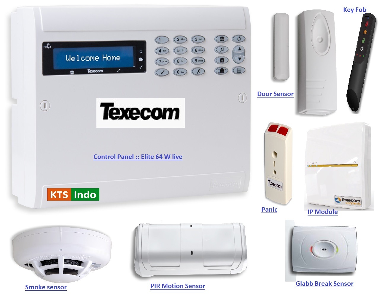 Texecom Alarm System